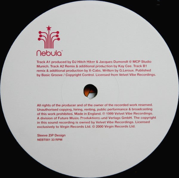 DJ Hitch Hiker Presents Lunatic Asylum : Meltdown 2000 (12")