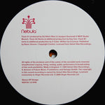 DJ Hitch Hiker Presents Lunatic Asylum : Meltdown 2000 (12")