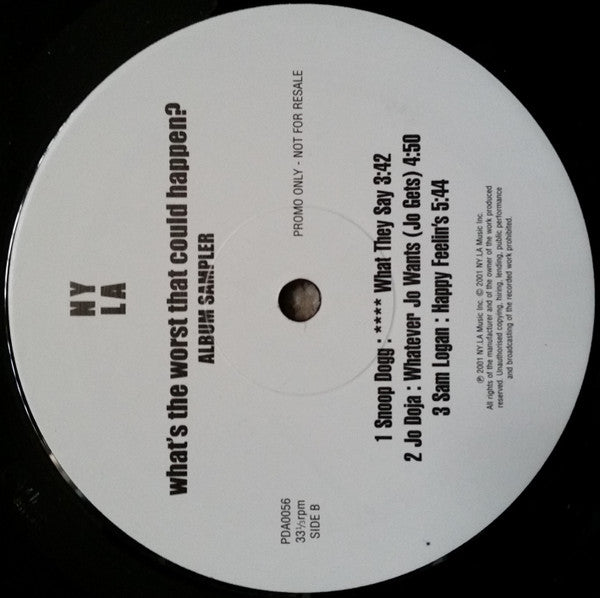 Various : What's The Worst That Could Happen? Album Sampler (12", Promo)