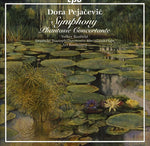 Ari Rasilainen - Symphony / Phantasie Concertante (CD)