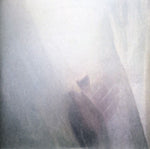 the album cover for Sun Airway - Wild Palms b/w Symphony In White, No. 2