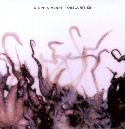 Stephin Merritt - Obscurities (Vinyl)
