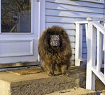 the album cover for Sleeping Bag - Sleeping Bag