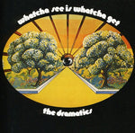 The Dramatics - Whatcha See Is Whatcha Get (CD)