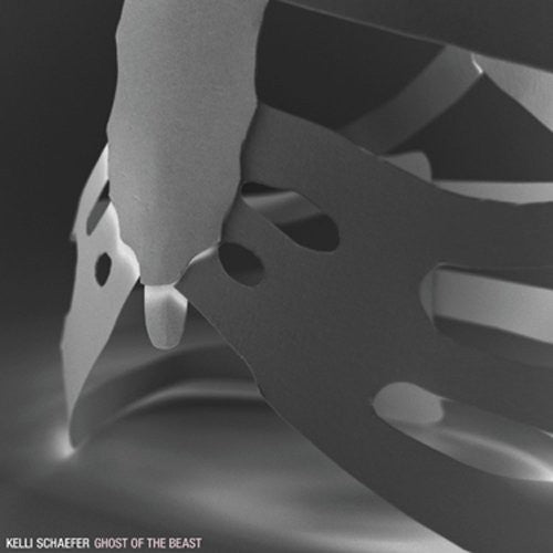 Kelli Schaefer - El fantasma de la bestia (vinilo)
