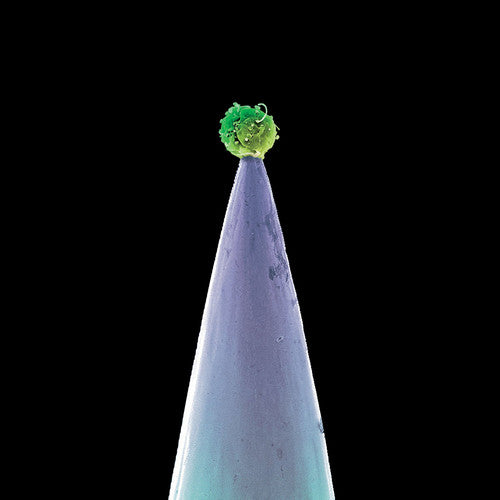 Peter Gabriel - New Blood (CD)