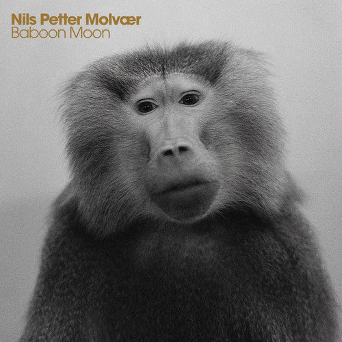 Nils Petter Molv r - Baboon Moon (CD)