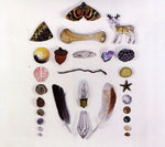 the album cover for Adam & The Amethysts - Flickering Flashlight [Import]