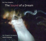 the album cover for Adam Rudolph - Go: Organic Orchestra - Can You Imagine The Sound Of A Dream