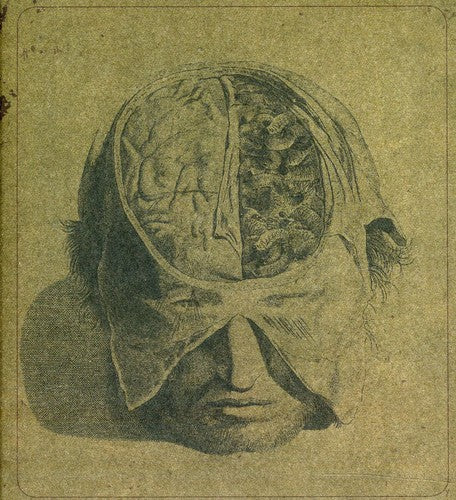 the album cover for Farsot - Insects