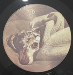 Kenny Segal : Indoors(LP, Album, Gat)