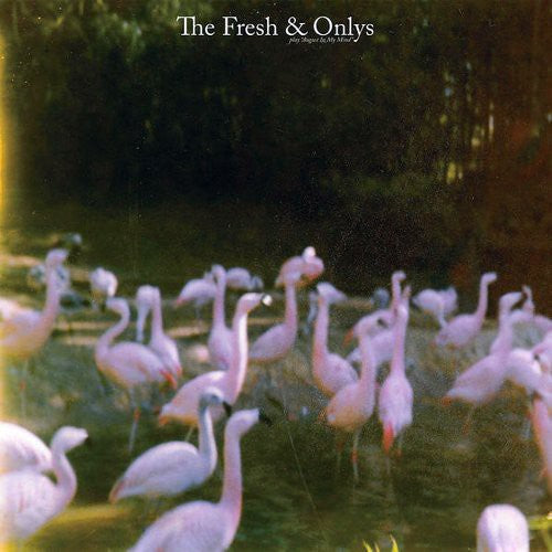 The Fresh &amp; Onlys - Agosto en mi mente (Vinilo)