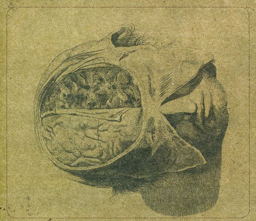 the album cover for Farsot - Insects