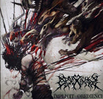 the album cover for Desecravity - Implicit Obedience