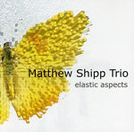 the album cover for Matthew Shipp Quartet - Elastic Aspects