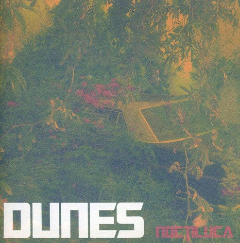 the album cover for Dunes - Noctiluca