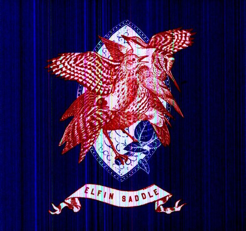 the album cover for Elfin Saddle - Devastates