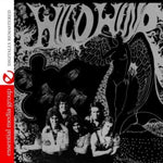 the album cover for Wild Wind - Wild Wind