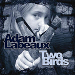the album cover for Adam Labeaux - Two Birds