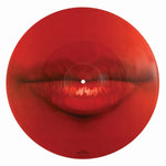 Fandango (6) : Last Kiss / San Joaquin (12", Pic, Promo)