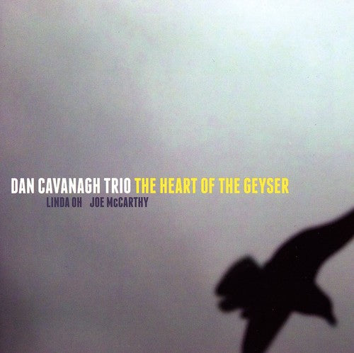 the album cover for Dan Cavanagh - Heart of the Geyser