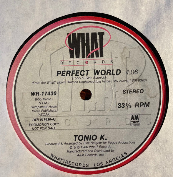 Tonio K. : Perfect World (12", Single, Promo)