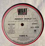 Tonio K. : Perfect World (12", Single, Promo)