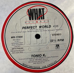 Tonio K. : Perfect World (12", Single, Promo)