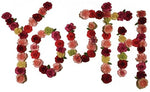 Citizen - Youth (CD)