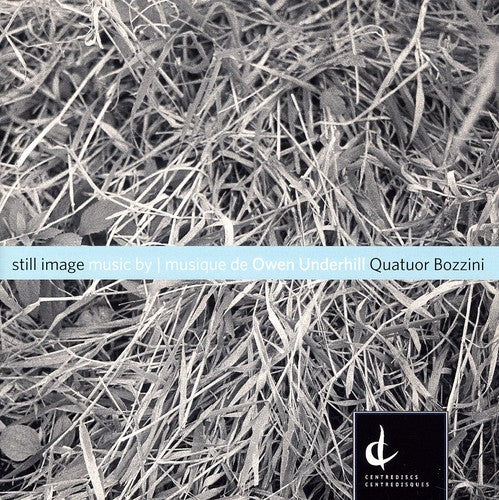 the album cover for Quatuor Bozzini - Still Image