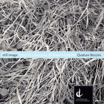 the album cover for Quatuor Bozzini - Still Image