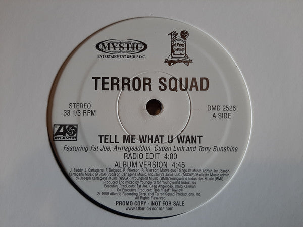 Terror Squad Featuring Fat Joe, Armageaddon*, Cuban Link And Tony Sunshine : Tell Me What U Want (12", Promo)