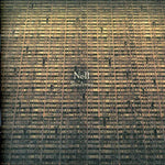 the album cover for Nell - Vol. 5-[Slip Away] [Import]