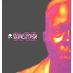 Divine Styler : Directrix (2x12")