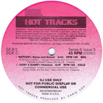 Various : Hot Tracks - Series 8, Issue 3 (2x12", Comp, Promo)