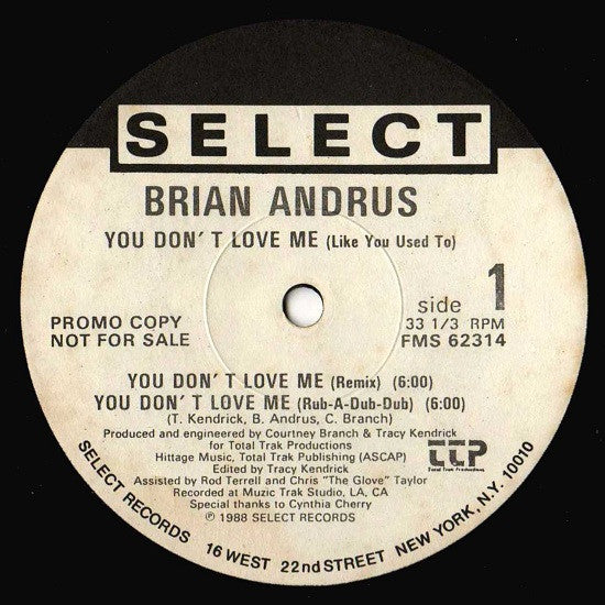 Brian Andrus : You Don't Love Me (Like You Used To) (12", Promo)