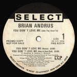 Brian Andrus : You Don't Love Me (Like You Used To) (12", Promo)