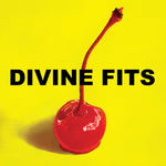 Divine Fits - A Thing Called Divine Fits (Vinyl)