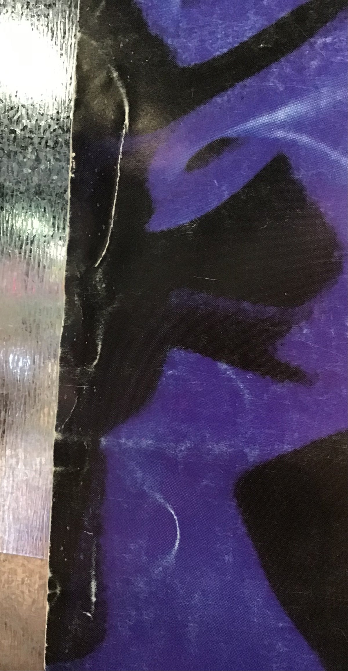 Tabula Rasa - Promo Poster for Confined in Skin and Bones