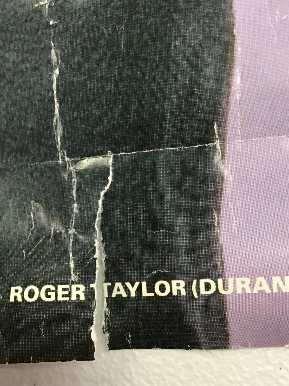 Roger Taylor - Glam Poster
