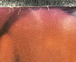 Curve - Promo Poster for Doppelganger