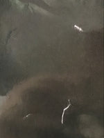 Bruce Cockburn - Stealing Fire Promo Poster