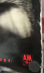 Thrashing Doves - Promo for Bedrock Vice