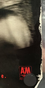 Thrashing Doves - Promo for Bedrock Vice
