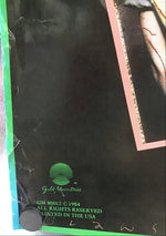 Bruce Cockburn - Stealing Fire Promo Poster