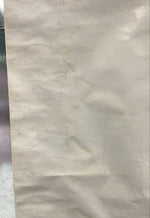 Ziggy Marley - Promo Poster