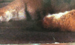 Duran Duran - Promo Poster
