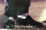 Duran Duran - Promo Poster