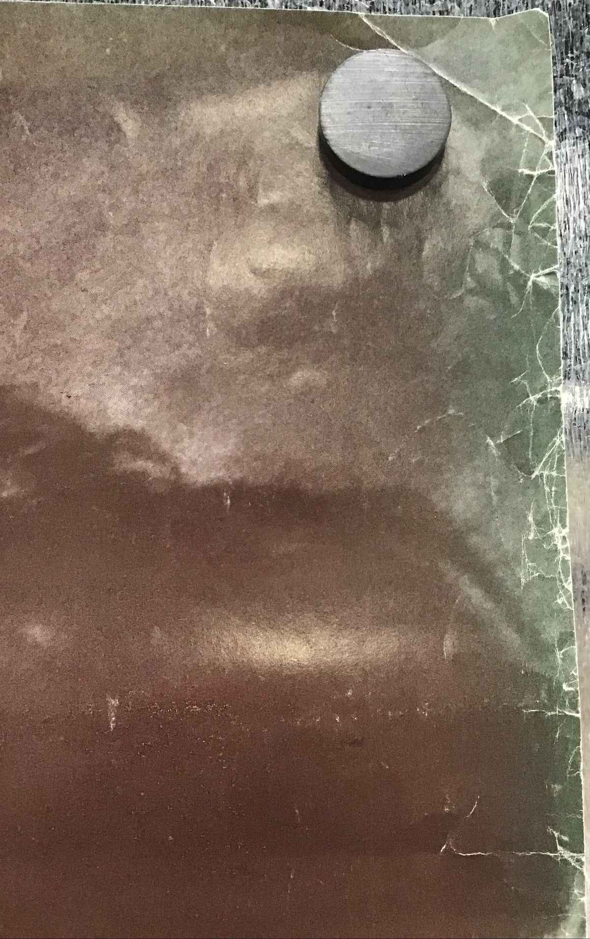 Wall of Voodoo - Call of the West Promo Poster