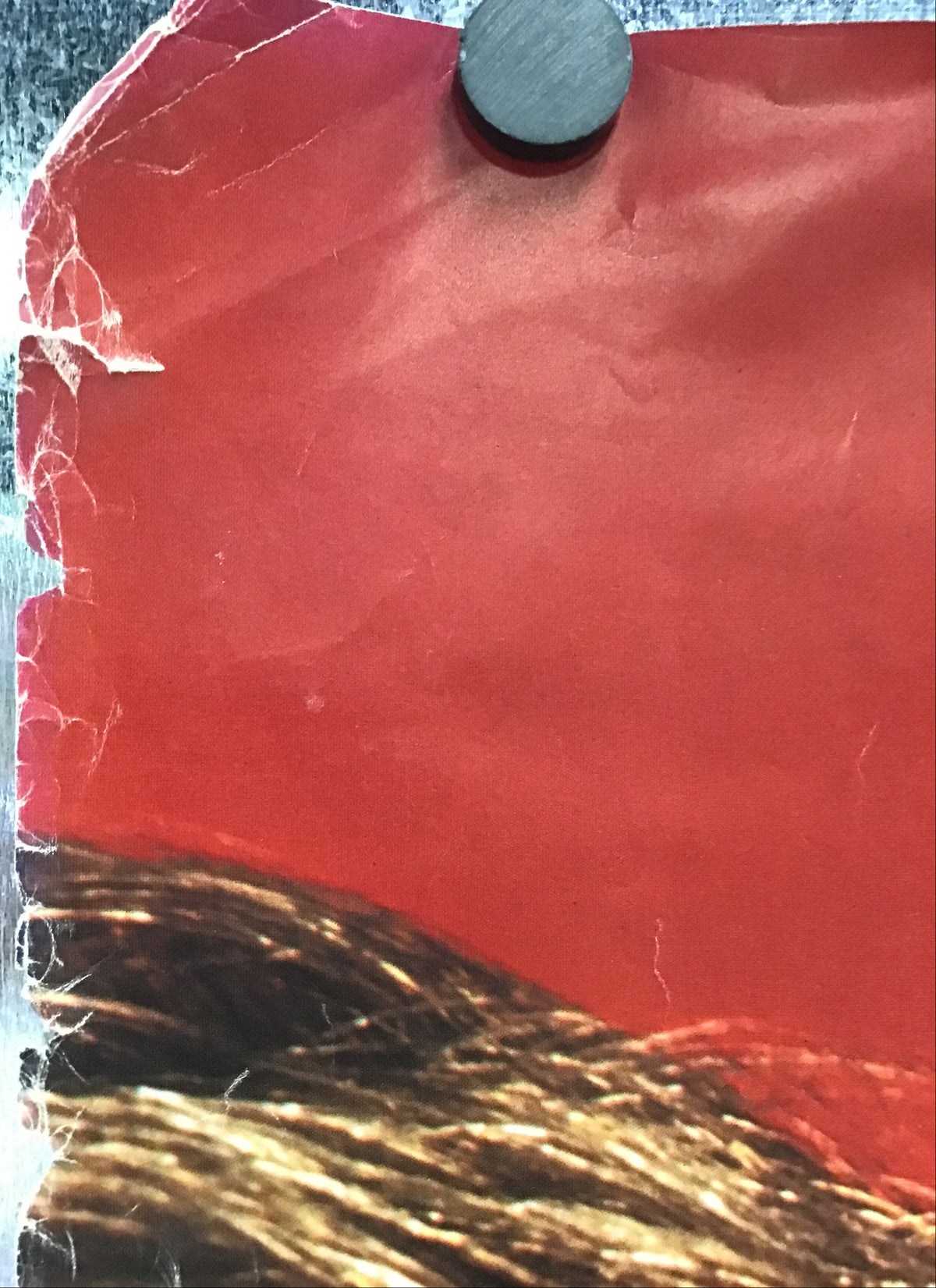 Daryl Hall and John Oates - H2O Promo Poster